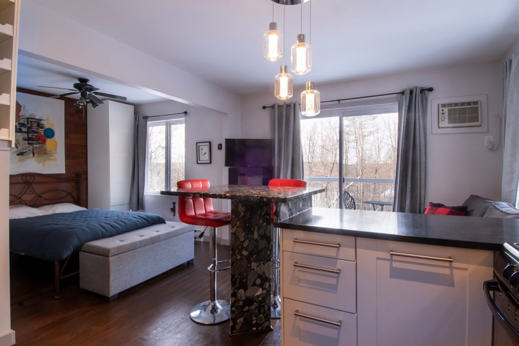 Condominium – 49, Rue Maple, app. 210, Sutton