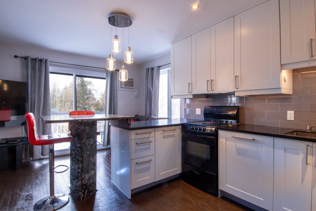 Condominium – 49, Rue Maple, app. 210, Sutton